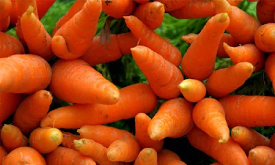 10 Benefícios da cenouras para Saúde e Alimentação Saudável