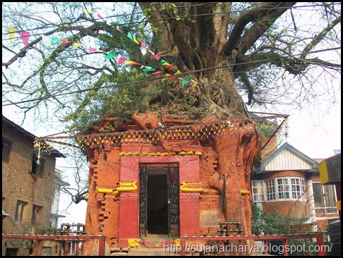 Handigaon Krishna Temple (2)