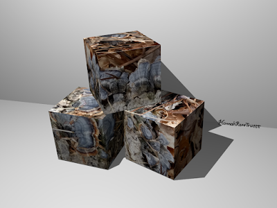 3D rendering of a stack of 3 boxes. The surfaces of the boxes are wrapped in photographic images: close-up views of blue & brown, scallop-shaped fungus growing from fallen tree branches with dry, brown leaves around them. The image is signed "Hannah Rose Truett"