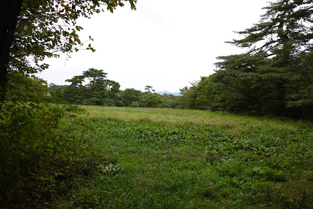 鳥取県西伯郡伯耆町小林　鳥取県道284号大山寺岸本線沿いの小路