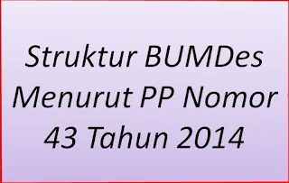 Struktur BUMDes Menurut PP Nomor 43 Tahun 2014