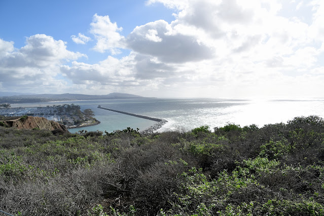 Pacific Coast Highway (2)