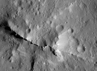 Elty clinic semarang :Bukti untuk permukaan kaya karbon pada Ceres , elty clinic semarang