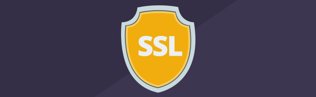 حل مشكلة SSL Error