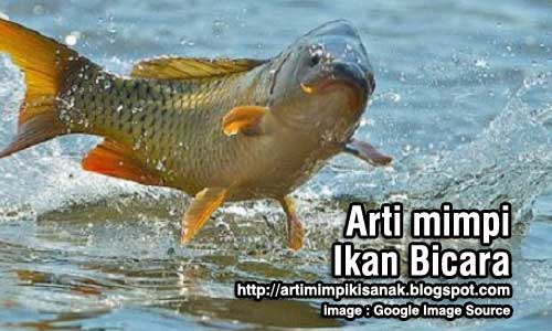 Arti mimpi ikan bisa bicara