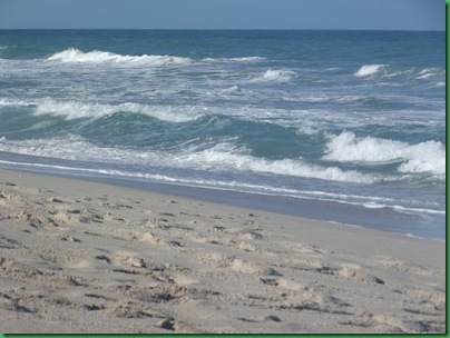 Sebastian Inlet 163