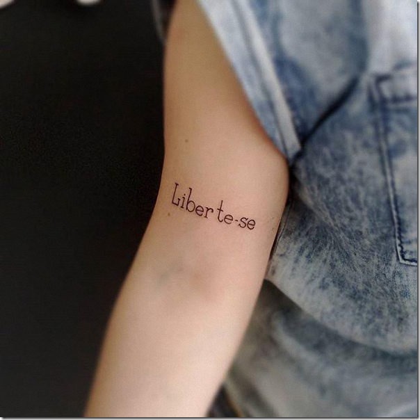 libre_para_volar