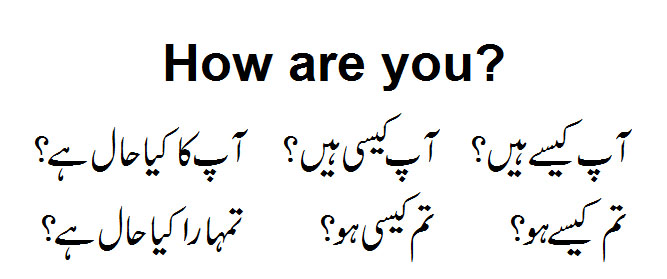 Learn Urdu Basics How Are You Meaning In Urdu