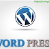 Reason Why You Should Blog with Wordpress 