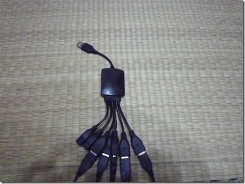 P1020024 (Medium)
