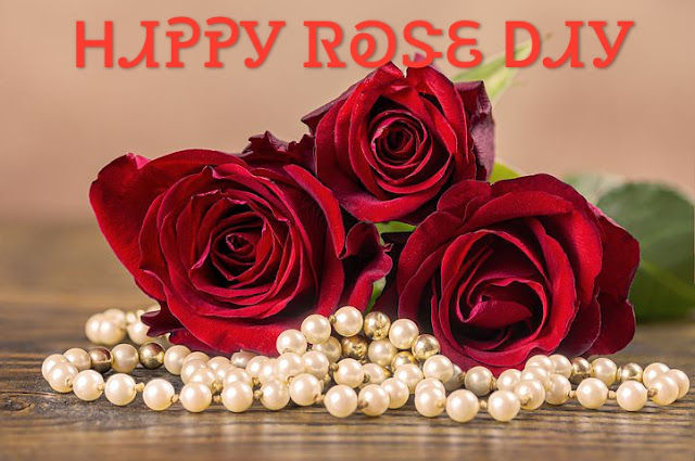 Happy rose day status, rose day wishes, rose day images, rose day images download