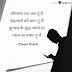 Tashan Shayri