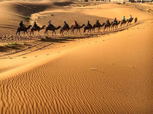 Como se Llama el Desierto más Largo del Planeta
