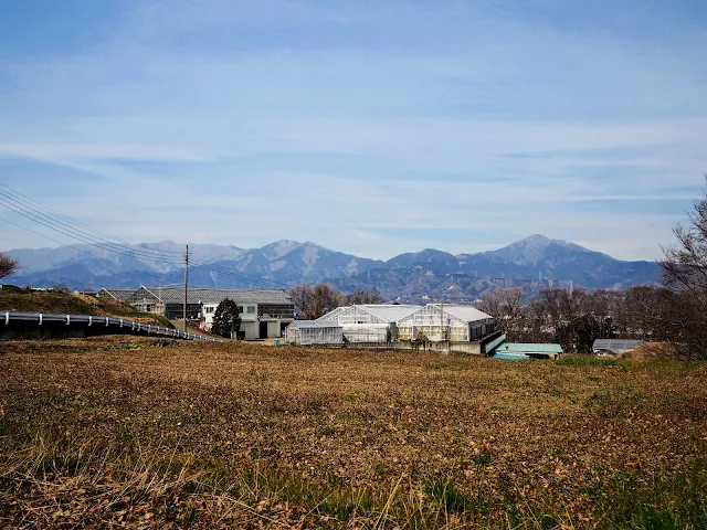 大山　丹沢