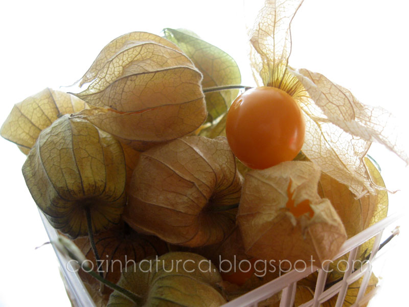 Physalis (Altın Çilek veya Altın Kiraz)