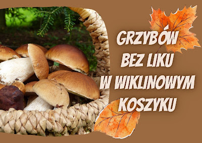 Tło brązowe, z lewej strony grafika, przedstawiająca grzyby w wiklinowym koszyku, obok biały napis: Grzybów bez liku w wiklinowym koszyku. Napis ozdobiony dwoma jesiennymi liśćmi.