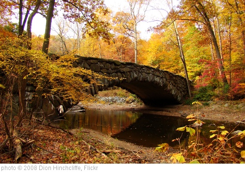 'Terrific shot of the old bridge over Rock Creek on Beach Drive' photo (c) 2008, Dion Hinchcliffe - license: http://creativecommons.org/licenses/by-sa/2.0/