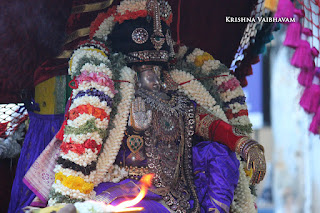 Naachiyaar Thirukolam,Vaigasi, Purappadu,Video, Divya Prabhandam,Sri Parthasarathy Perumal, Triplicane,Thiruvallikeni,Utsavam,Gajendra Varadhar,Brahmotsavam