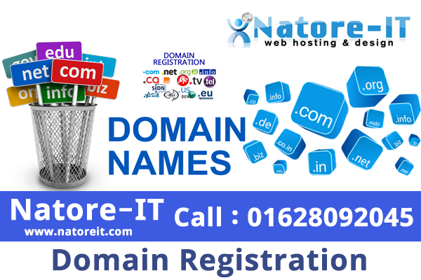 Domain Registration