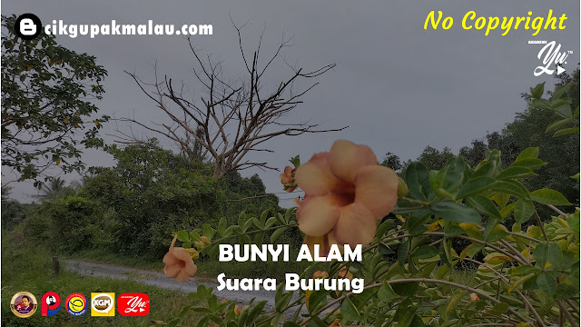 suara burung - bunyi alam