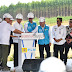 PLN Memulai Pembangunan PLTS 50 MW di IKN Nusantara