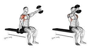 Seated dumbbell front raise