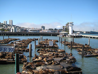 Seals