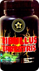 tribulus 03