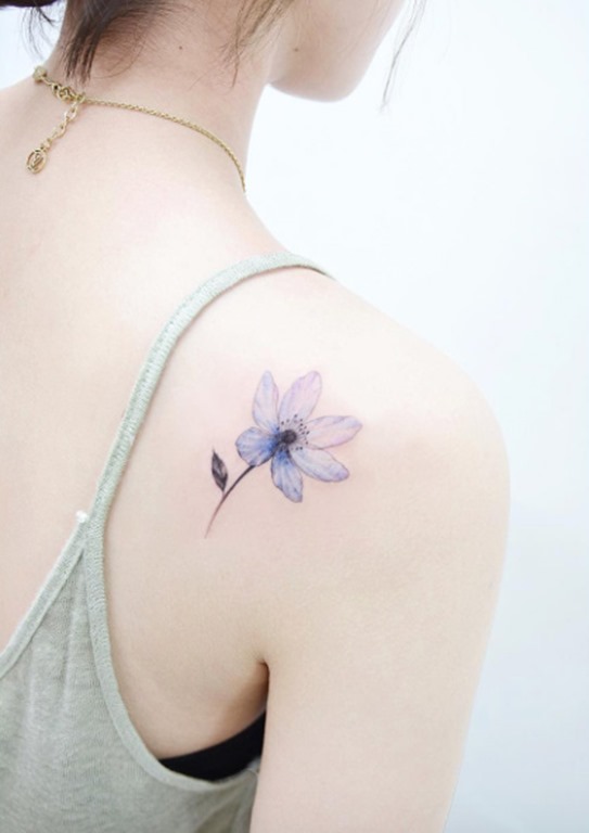 Esta bela flor azulada