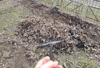 Raking up some leaves