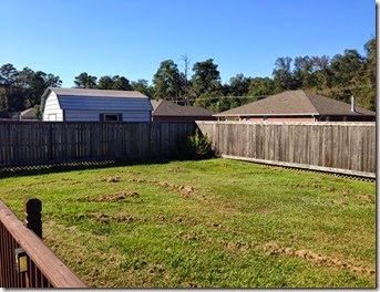 Running & Fence Staining (9)