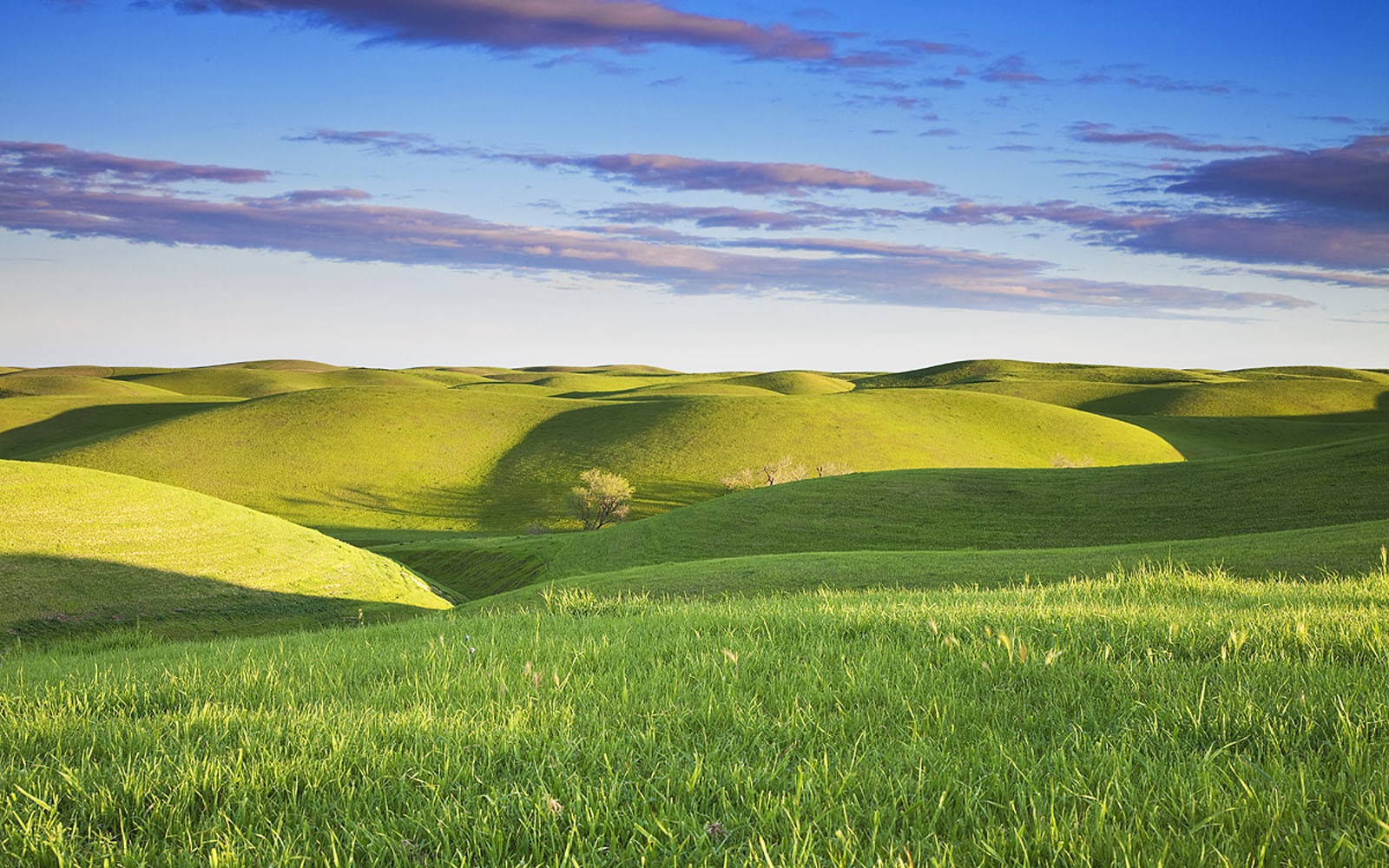 Grassy+Hills+Wallpapers+%25286%2529