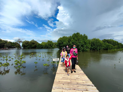 Lokasi hutan mangrove berdekatan dengan lokasi pembangunan PIK 2, berdekatan pula dengan Pantai Utara Jakarta