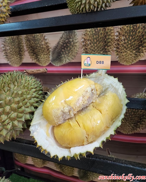 ST Durian @ SS19, Sheng Tai International, Formerly Known As Donald Durian, Musang King, D101, Kampung Durian, D88, #1 Durian Shop SS19, Food