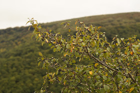 Castle Drogo and Fingle bridge walk