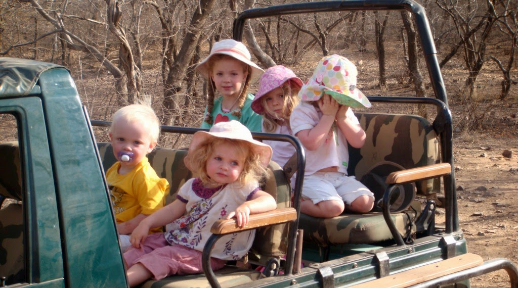Wildlife safari is one of the things to do when you are on a family holiday in India
