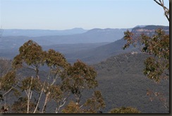 IMG_5022 (Medium)
