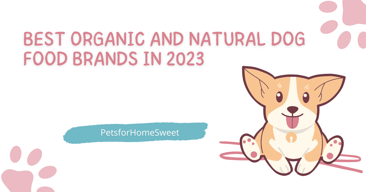 Best organic and natural dog food brands in 2023 | PetsforHomeSweet