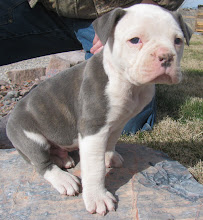 Cobalt