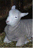clip_image006