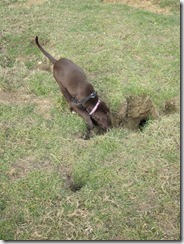 And down here is ...?