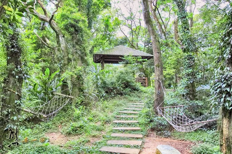 螢火蟲、油桐花、季高緯度熱帶雨林｜三峽 大板根森林溫泉渡假村