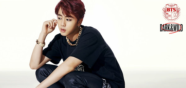 BTS Jin