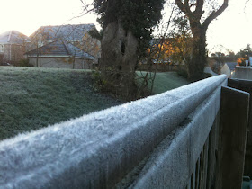 frosty fence