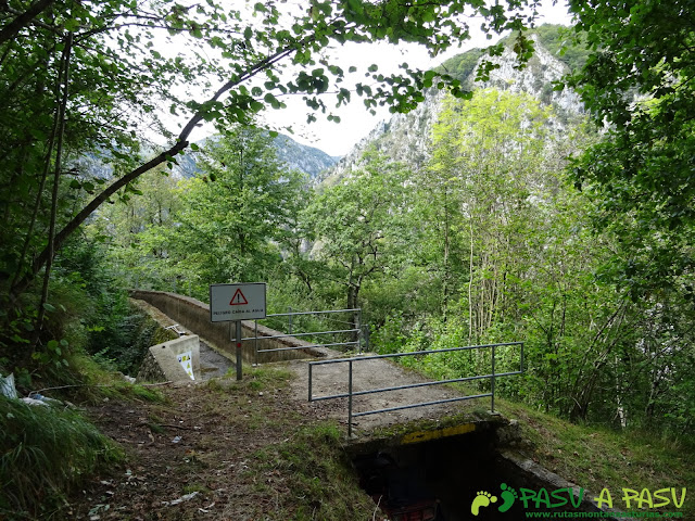 Canal de Reñinuevo: Puente sobre Canal