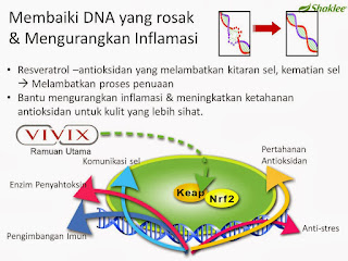 vivix, vivix shaklee, sel manusia, vivix rawat kanser, rawatan kencing manis, rawatan diabetes, vivix tonik ajaib, keistimewaan vivix, shaklee melaka, vivix melaka, shaklee masjid tanah