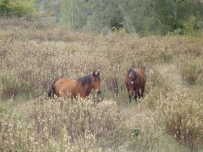 P1050991