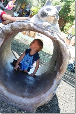 Dallas Zoo 043