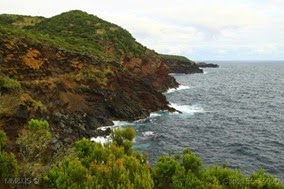 IMG_5033