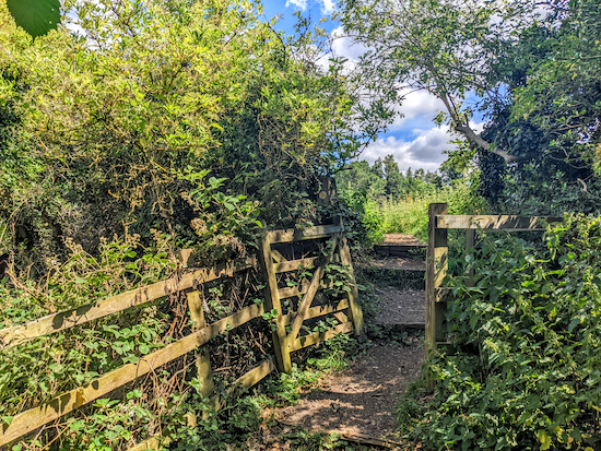 St Paul's Walden footpath 8